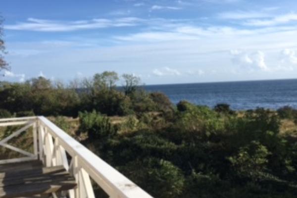 Halleklippen udsigt fra terrassen