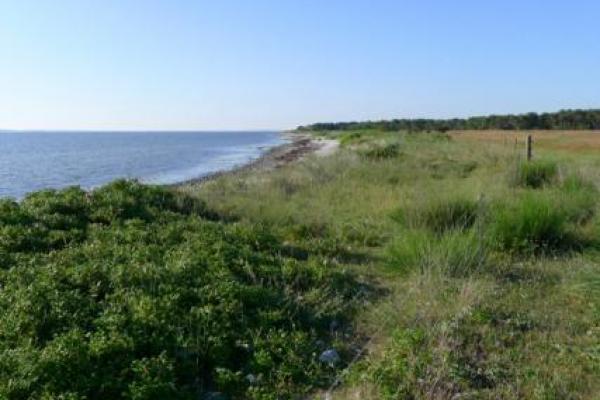 Tæt til vandet på Halleklippen
