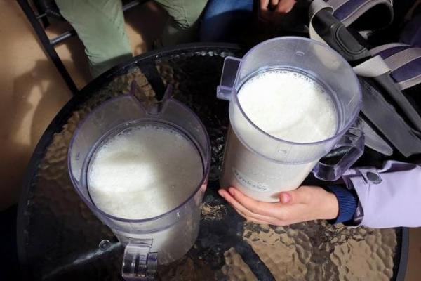 Frisk mælk fra koen