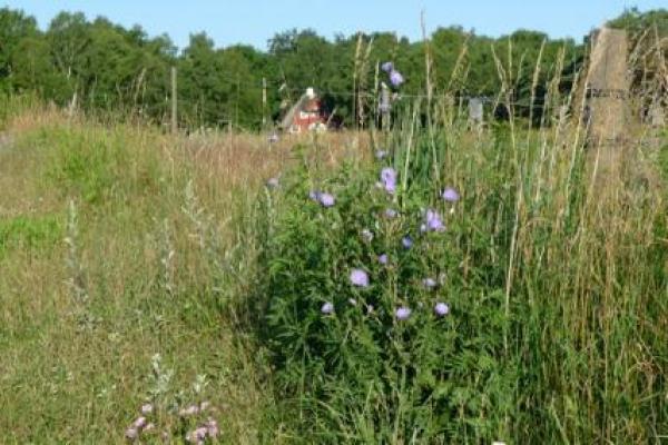 Skønne udendørs arealer