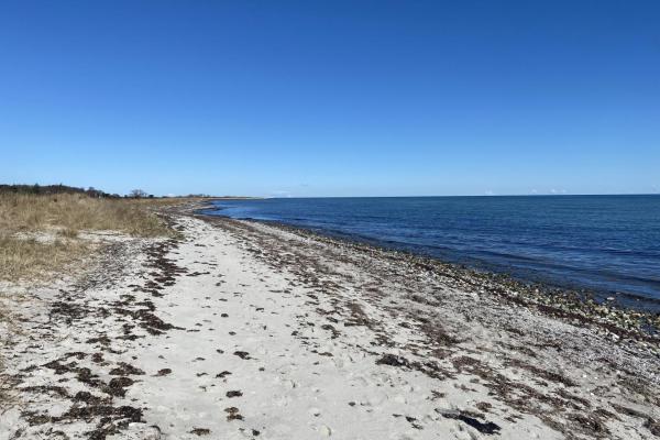 Tæt på skøn og børnevenlig strand