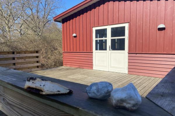 Hyggelig og solrig terrasse