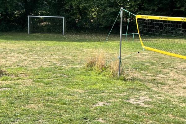 Boldbane på kolonien