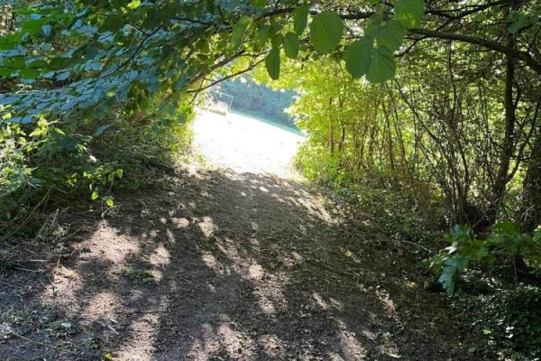 Kig ind til boldanen