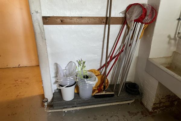 Natur &amp; teknik ting til lejrskolerne