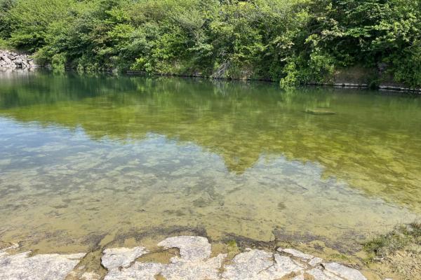 Halleklippen badesø tæt på kolonien